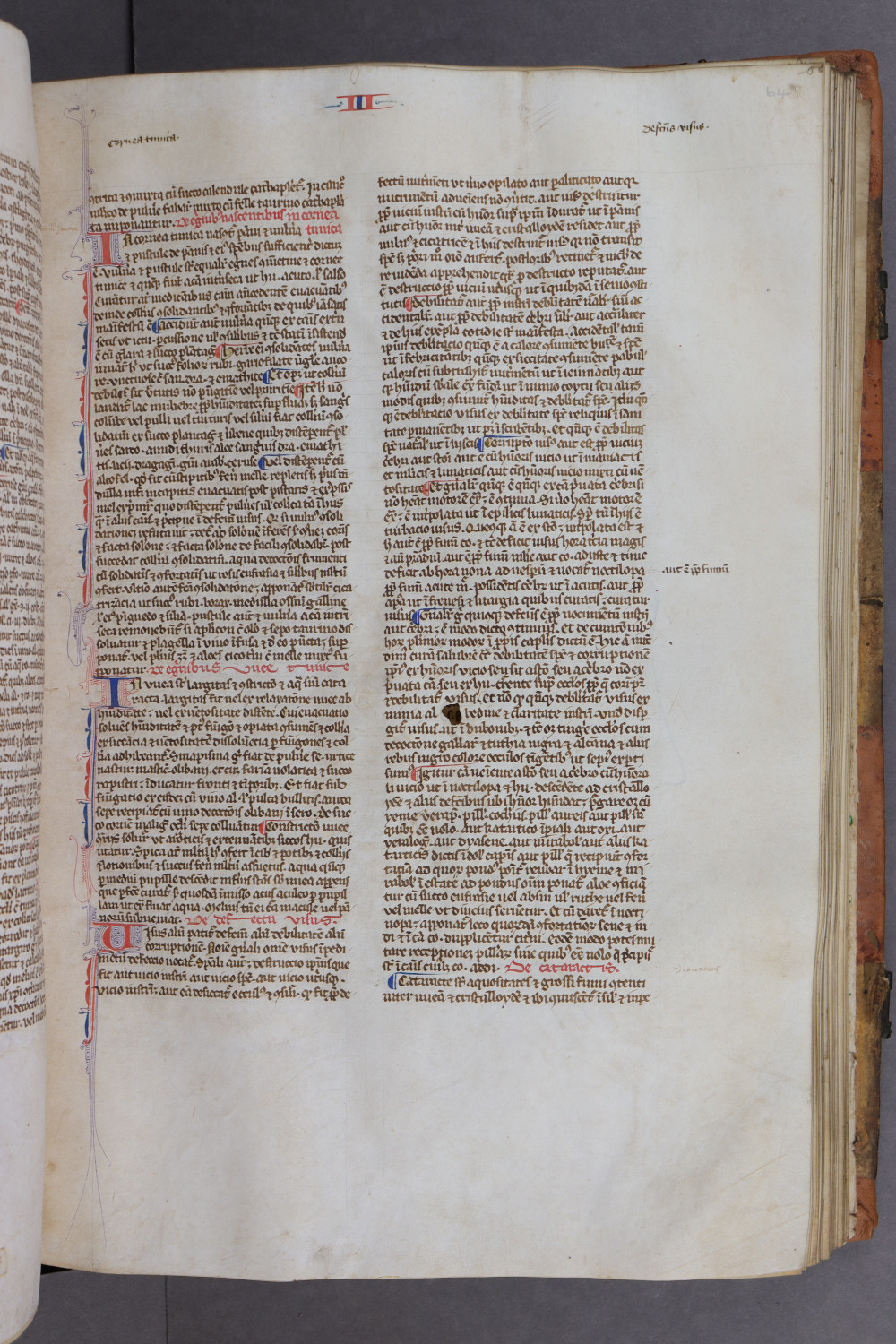 Folio 64 recto